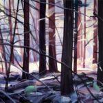 Olivier Morel, art contemporain, artiste français, forêt, forêts