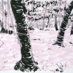 Olivier Morel, Forêts, Forêt, dessin, art contemporain
