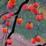 Olivier Morel Osechi CAC Meymac