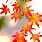 Olivier Morel Osechi CAC Meymac