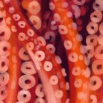 Olivier Morel Osechi CAC Meymac