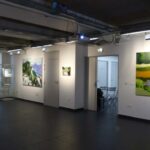 Olivier Morel, exposition Être forêt, être montagne, Pavillon des Arts de Châtenay-Malabry