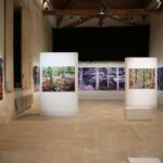 Olivier Morel, La mer des arbres, Orangerie de Sucy-en-Brie